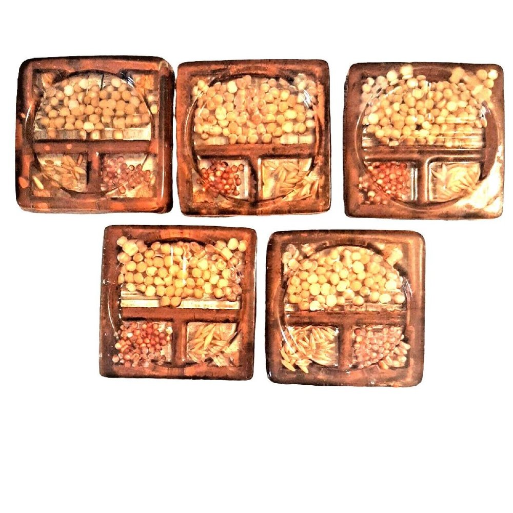 Set of 5 Lucite Seed Drink Coasters 70s Vintage Gamut Designs USA